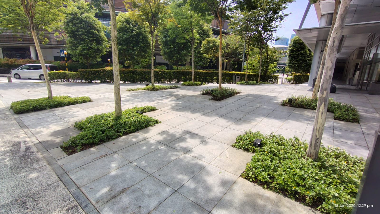 professional gardener trimming hedges with precision tools in a formal garden